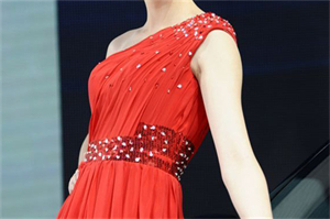 上海女性候选人的挑战与成功案例 上海女性候选人的挑战与成功案例